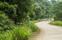Ha Noi: Full-day Cuc Phuong National Park Eco-adventure
