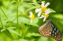 Ha Noi: Full-day Cuc Phuong National Park Eco-adventure