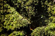 Ha Noi: Full-day Cuc Phuong National Park Eco-adventure