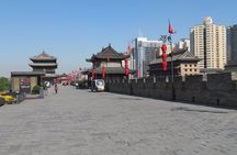 Private Xi'an 1 Day City Tour