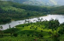 5 Nights - Private Tour Cochin/Munnar/Thekkady/Alleppey -Sanguine