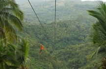 Canyoneering Experience in Kawasan Falls with Lunch