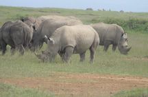7 Days Amboseli-Lake Naivasha-Lake Nakuru & Masai Mara