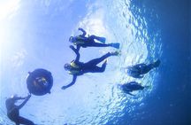 Charter Snorkeling (near Churaumi Aquarium) Free photo gift