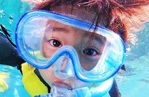 Charter Snorkeling (near Churaumi Aquarium) Free photo gift