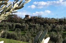 Leonardo da Vinci Voyage with Olive Oil, Food and Wine Dream