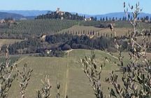 Leonardo da Vinci Voyage with Olive Oil, Food and Wine Dream