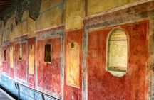 Pompeii Guided Tour from Amalfi Coast 