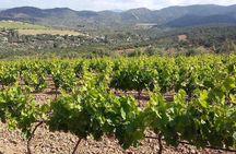 Wine tour aroud vineyards of Cagliari 