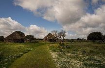 Archaeological tour of the Nuraghe Arrubiu in Orroli