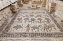 7-Night Best of Jordan Tour: Jerash, Dead Sea, Petra, and Wadi Rum Overnight