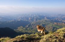 Four Days Simien Mountains Trekking