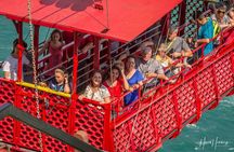 Private, Custom Day Tour/ Niagara Falls, Canada from Toronto, Canada, (Downtown)