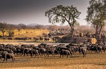 1 Day group tour-Ruaha National park