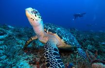 Advanced Open Water Diver course PADI in Playa del Carmen
