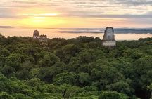Full Day at Tikal Mayan Ruin Tour from San Ignacio