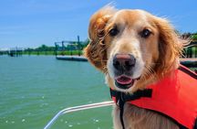 PRIVATE Eco Boat Trip out of Naples Bay, FL , island stop incl.