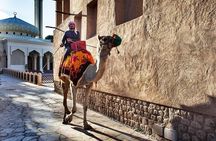Dubai City Tour private