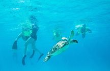 National Park Snorkeling Excursion 