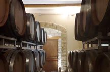 Knowledge, passion and love for the earth Walk through the vineyards taste the wines