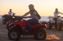 Cabo Candelaria Village Adventure + Tequila Tasting