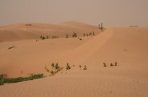 Nouakchott Explorer: Private Capital Tour
