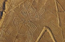 The Enigmatic Nazca Lines & Huacachina Oasis - Private Trip 