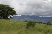Fiji Local Village, Market, Temple & Garden of Sleeping Giant with Mud Pool Tour
