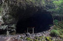 Day Trip to Mythical "Takachiho" from Fukuoka by PRIVATE MiniBUS