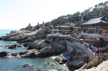 4Day Private Tour from Busan to Seoul, Gyeongju, Tongyeong, Oedo-Botania Island