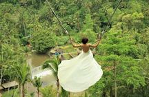 Ubud: Monkey Forest, Jungle Swing, Rice Terrace, and Water Temple