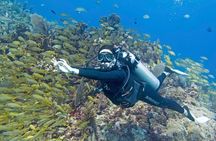 Try Dive in Cancun Underwater Museum