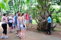 Historical Guided Day Tour : City - Sugar World - Botanical Garden