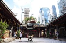 Private Singapore Walking Tour: City Highlights & Hidden Gems