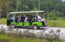 My Son Afternoon Sunset Private Guided Tour