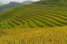 Sapa tours