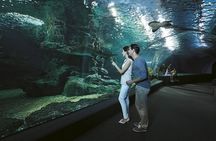 SEA LIFE Bangkok Ocean World and Madam Taussauds Entry Ticket