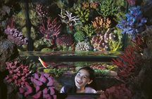 SEA LIFE Bangkok Ocean World and Madam Taussauds Entry Ticket