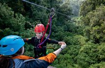 The Original Canopy Zipline Experience Private Tour From Auckland