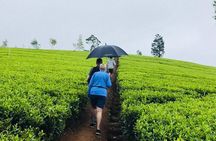 Sri Lanka highlights in 6 days