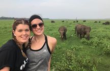 Sri Lanka highlights in 6 days