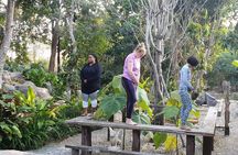 Full Day Yoga, Meditation, and Thai Cultural Immersion in Chiang Mai 