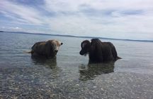 10 Days Northern Mongolian Khuvsgul Lake & Central Mongolian tour