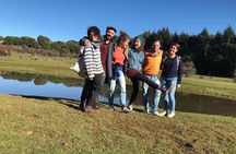 Middle Atlas , Cedar Forest and Azrou Day Trip from Fez