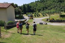 Lake Como Rebels: Adventure day in Spina Verde Regional Park