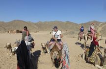 Stargazing Excursion In Hurghada with Jeep 4WD and BBQ 