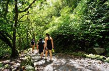 Private Day Tour to Mindo - Waterfalls & Hummingbirds