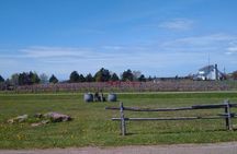 Central PEI Winery, Brewery, and Distillery Tasting Tour DE’ Force