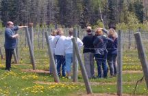 Central PEI Winery, Brewery, and Distillery Tasting Tour DE’ Force