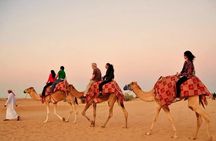 Desert Safari With Camel Ride